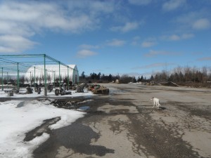 The shade house and the loading dock